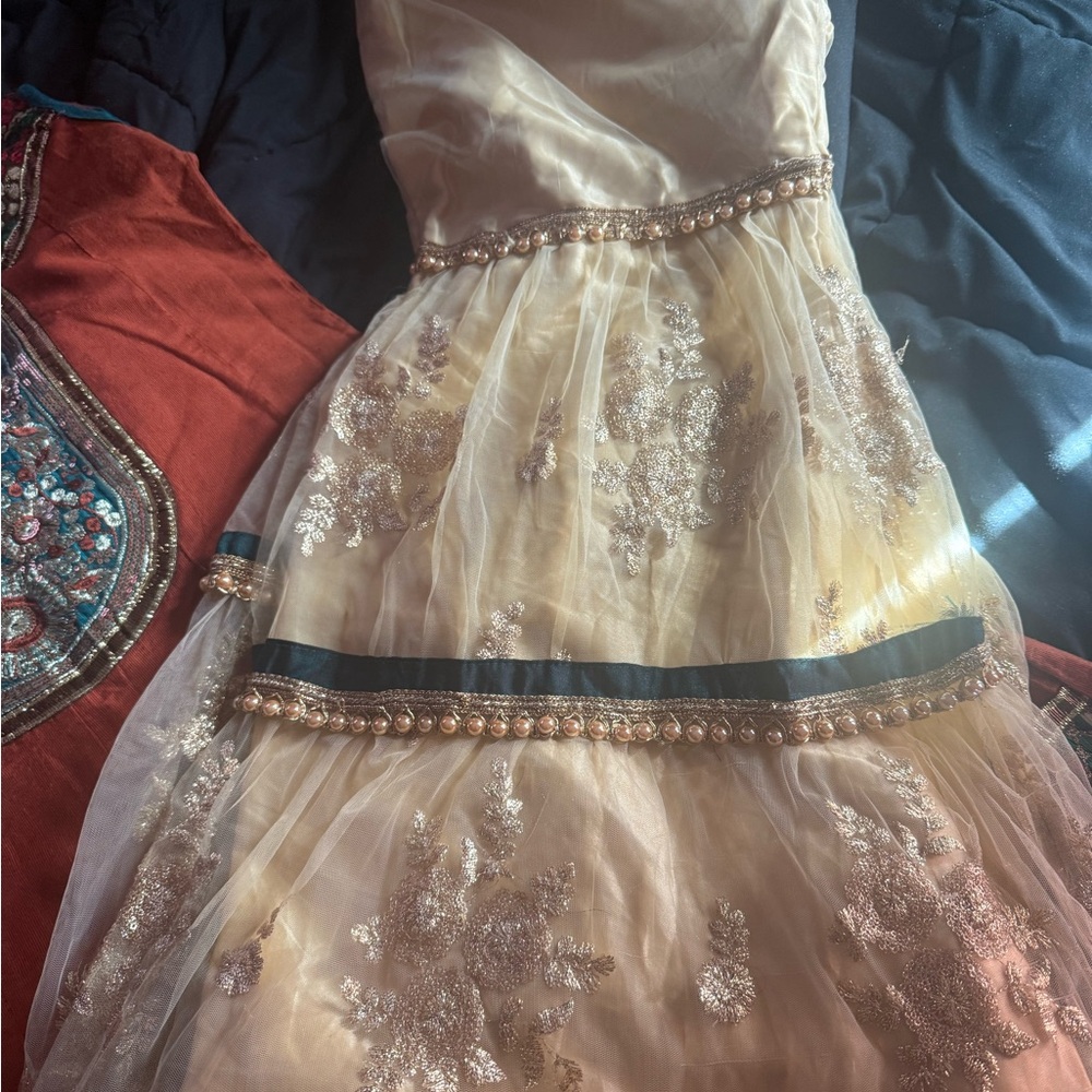 Elegant Cream and Gold Embroidered shrara net material